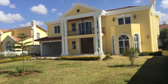 Luxurious House for Sale in the Suburb of Addis