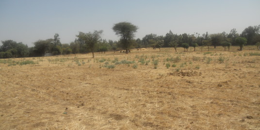 Freehold Land for Sale in Adama