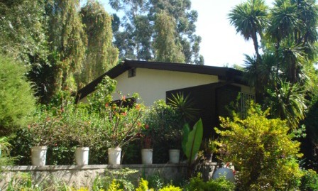 Cozy Villa For Rent in Addis Ababa, For Garden Lovers