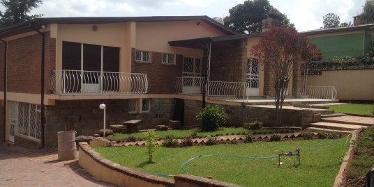 Newly Renovated Villa for Rent in Bole