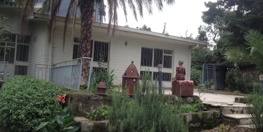 House with beautiful garden for rent in Bole, Addis Ababa