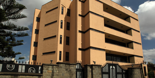 G+4 Luxurious Apartment Building For Sale in Bole, Addis Ababa