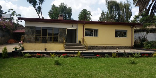 Renovated Bungalow House with great garden for Rent in Old Airport, Addis Ababa