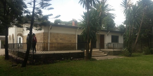 Villa with big garden for rent in Cazanchis