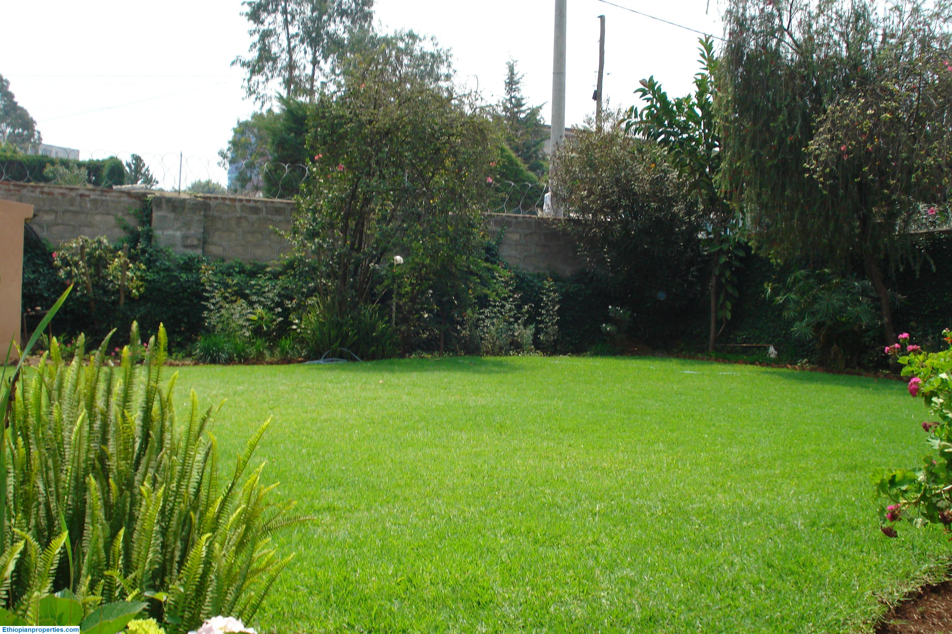Plot of Land/Old House for Sale in Bole, Addis Ababa