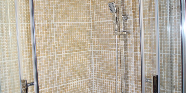 the shower, (bathroom 1)