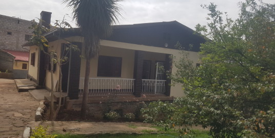 Charming Old Villa for Rent in Addis Ababa, Sidst Kilo