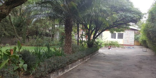 Villa on 1,000 Sq M Plot of Land for Rent in Addis Ababa, Bole