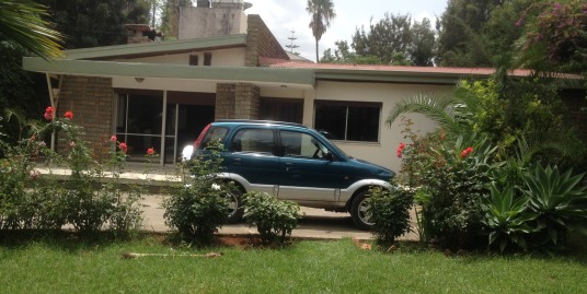 House for Rent in Addis Ababa, Africa Avenue