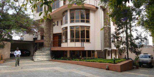 Well Built Mansion For Rent in Addis Ababa, Bole