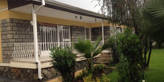 Bungalow House for Rent in Bole