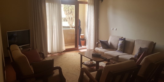 Reasonably Priced 2 Bedroom Apartment for Rent in Bole