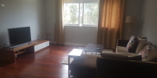 2 Bedroom Furnished Apartment for Rent in Bole
