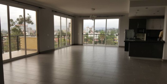 Newly Built Condos for Rent in Bole Area