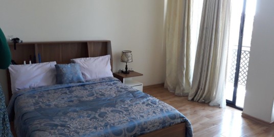 Furnished 3 bedroom apartment for rent in Bole