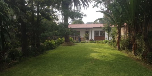 Villa with amazing garden walking distance to ICS