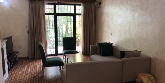 Furnished House in Bole