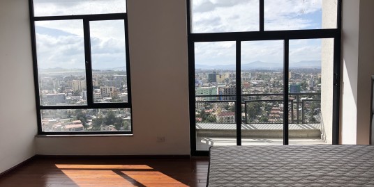1st Class Penthouse for Rent