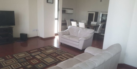 Nicely Furnished 3 Bedroom Apartment in Bole