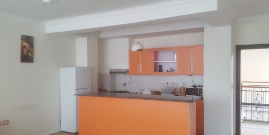 2 Bedroom Furnished Apartment in Bole