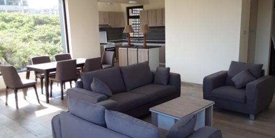 3 Bedroom Furnished Apartment in Bole