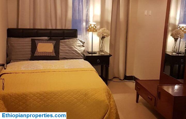 Furnished apartment for rent in Cazanchis