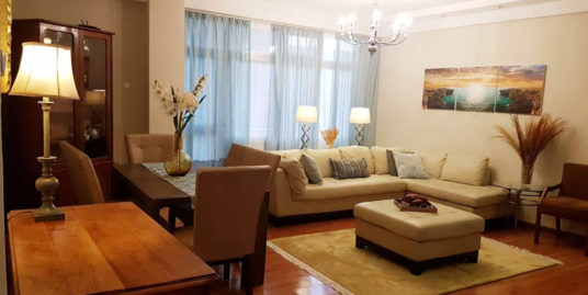 Simple and Beautifully Furnished Apartment in Cazanchis