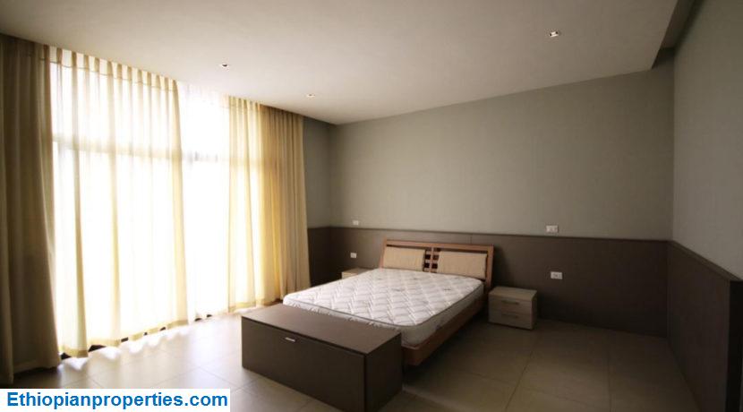 Furnished apartment for rent in Addis Ababa