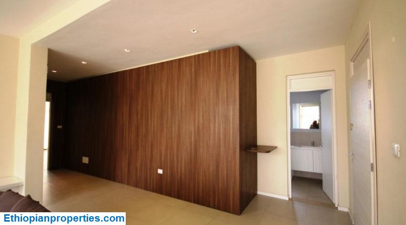 Apartment for rent in Addis Ababa