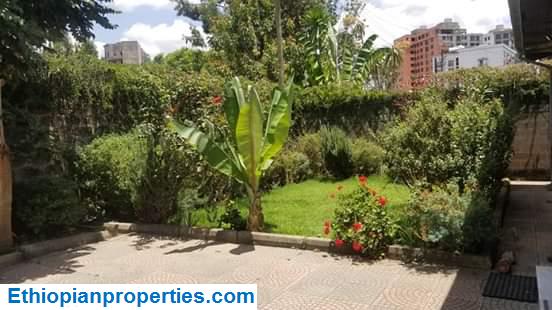 1E0C9F5A-B12E-43F3-9A97-68536D0F1301