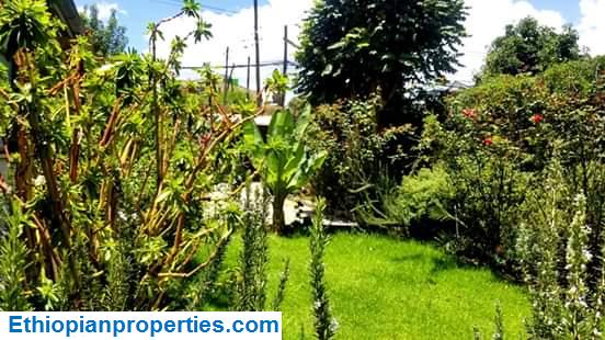 3104634B-38F8-4B3D-9FEB-514BFD9CFE58