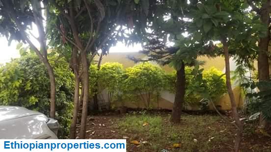 4D336553-F450-4AB0-980D-87203B5569D7