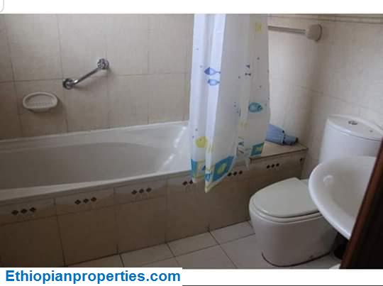 5D6C5008-65D6-434C-8326-75AE882BC737