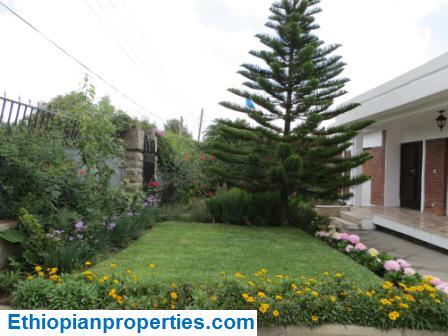 9A9A49ED-63CF-4235-89FC-2367C07E2132