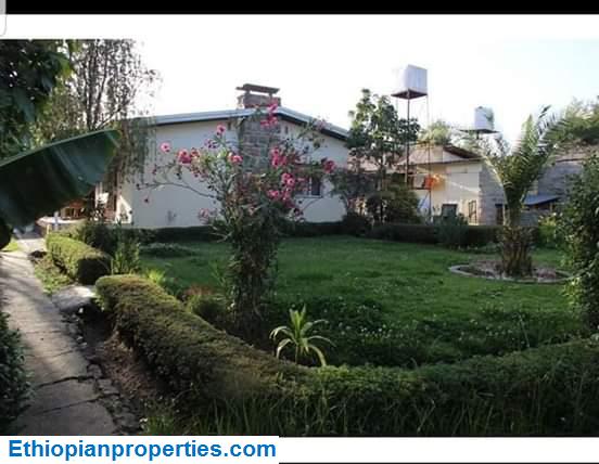 A07A21CE-3F73-4AED-8D30-EF988D46B8FC