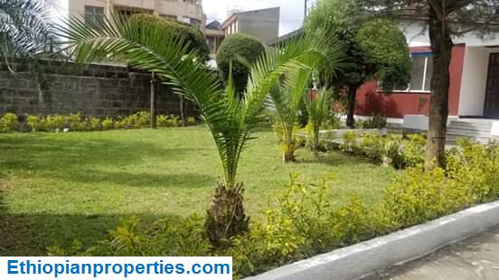 D542175F-59A4-431B-B2BA-92ECA56B1A81