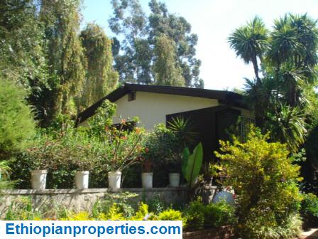 9C99B129-7561-42F3-8395-DFE7F39F6831