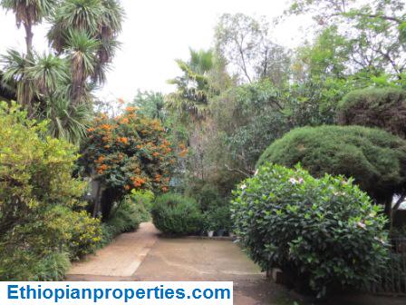 A1A73F03-AE56-4551-A339-106A33923D04