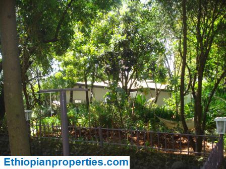 AF973782-F607-4E55-B2C8-663DEAEB7927