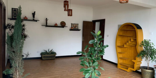 Well Renovated Villa for Rent in Kebena