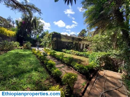 0454BC77-52B8-4928-9EED-7FBD2E0C70FF