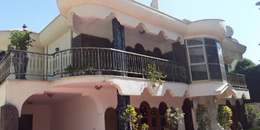 Furnished Villa for Rent in Bole