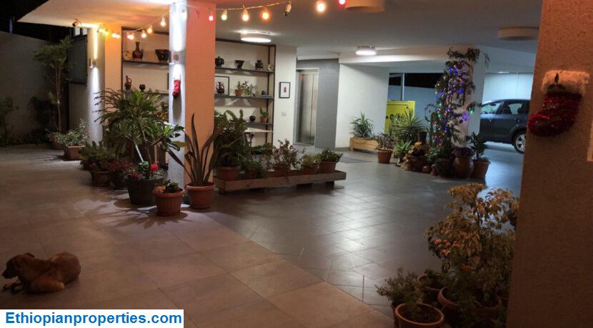 233F3C1C-43AE-4D47-B29D-F48EBC6E0393