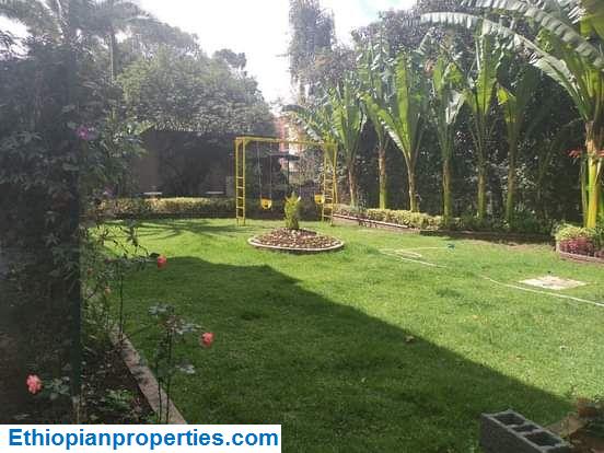 387DE114-14F9-49B1-ABA0-DC5D14791B77