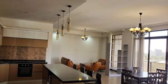 Furnished 3 Bedroom Apartment Near Cazanchis
