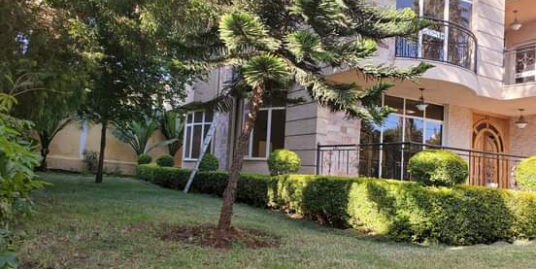 Well Maintained House for Rent in Bole Addis Ababa
