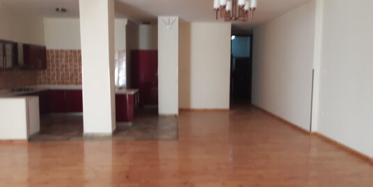 345 Sq M Apartment for Rent in Bole, Addis Ababa