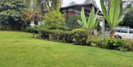 Beautiful Vill with Big Garden in Old Airport