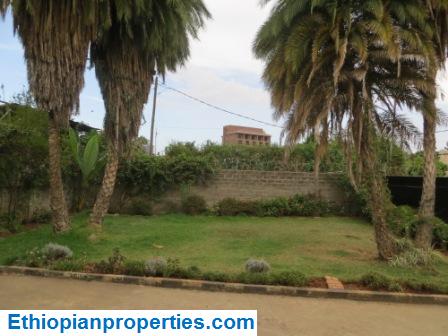 8424262B-AAE9-4DBE-BB2E-8248AE75C559