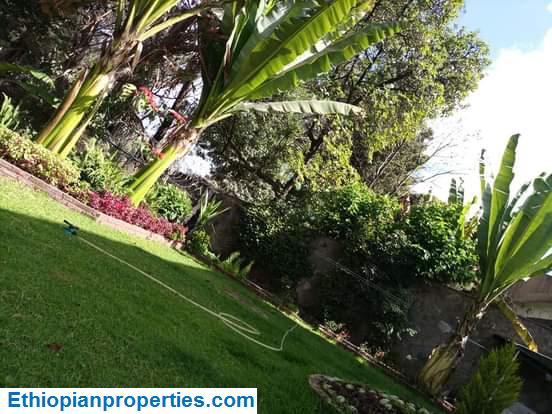 8E4FF497-90A0-415D-BE07-F8745198BE2E